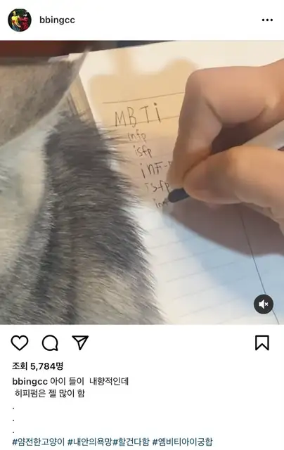살롱고요히 사진 2