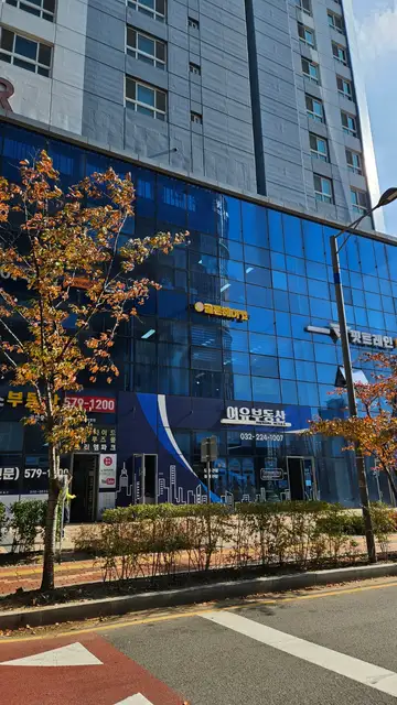 골든헤어컷 사진 8