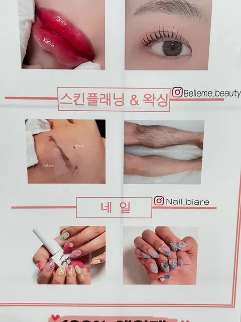 네일비아르 사진 6