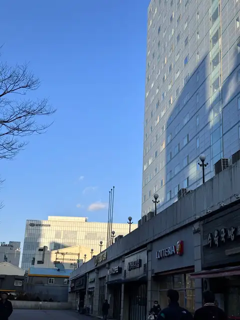 가드닝브로우 사진 3