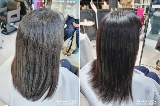 살롱드엘 사진 1