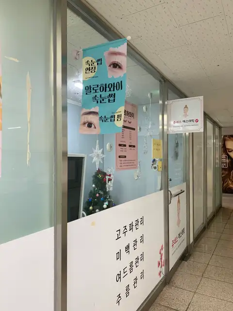 알로하와이 속눈썹 사진 4