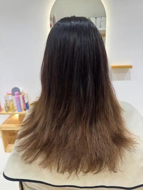 센느 사진 7