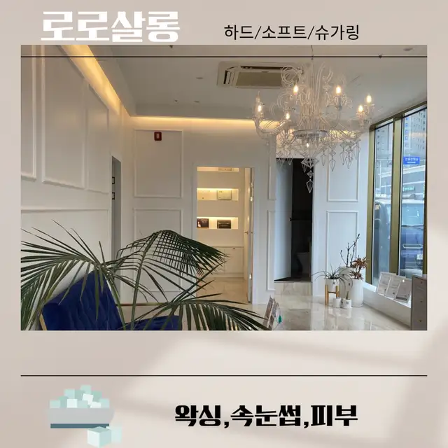 로로살롱 사진 7