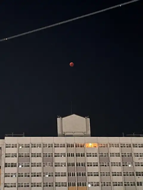 몽슈브로우 사진 5