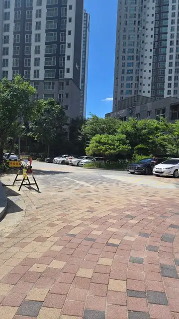 오키드래쉬 사진 3
