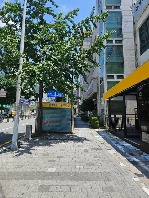 오엘르뷰티 사진 8