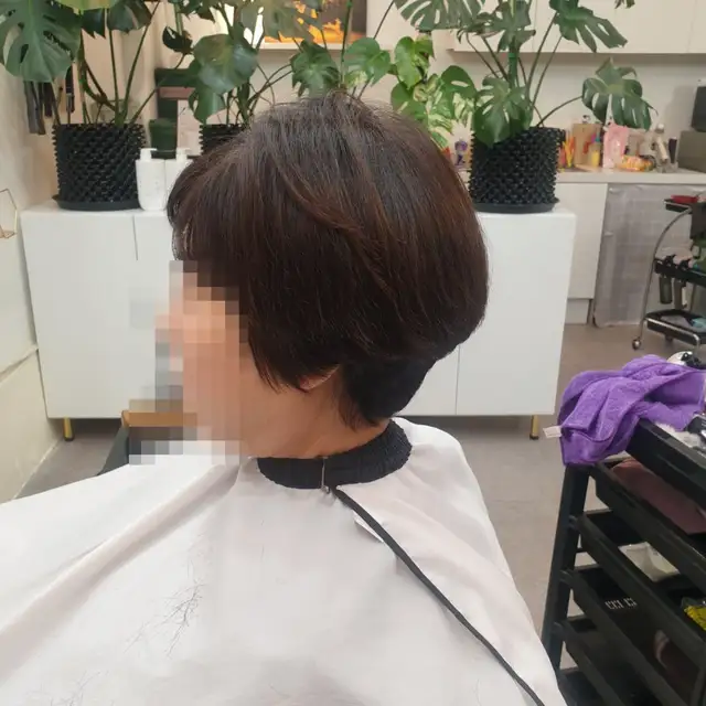 살롱84 사진 8