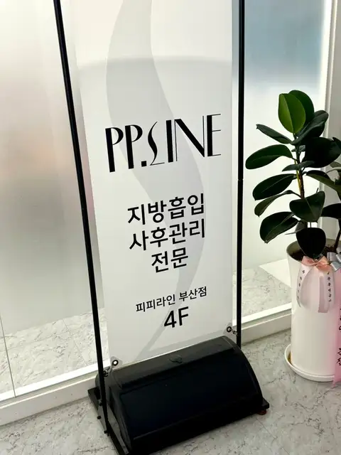 피피라인 부산 사진 1
