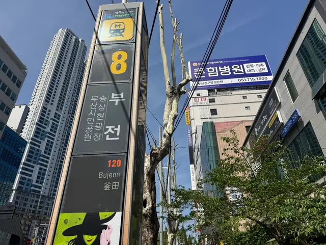 네일마디다 사진 2