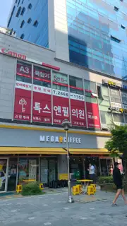 안단테 사진