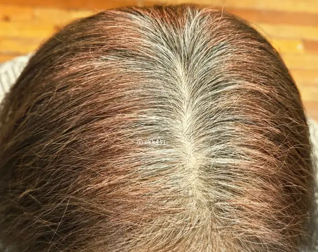 하이컬러 사진 5