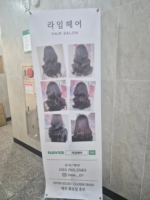 라임헤어 사진 5