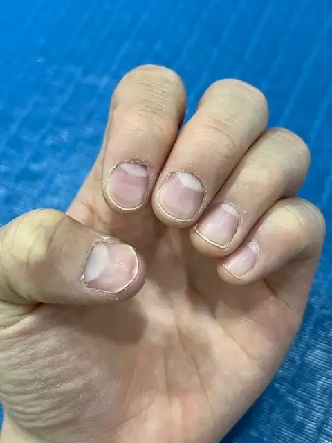 네일피오르 사진 5