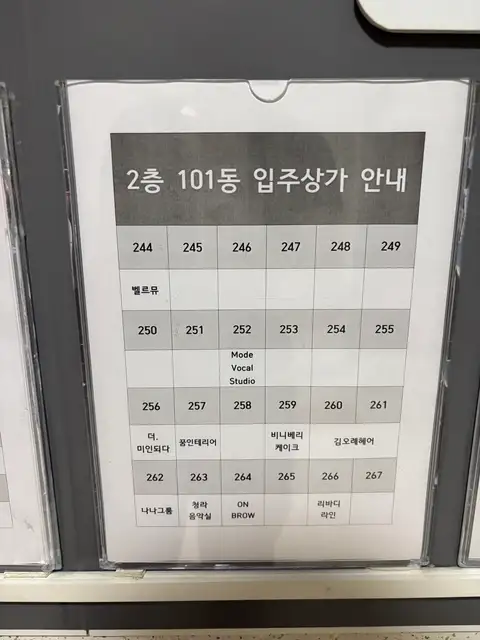 더미인되다 사진 2