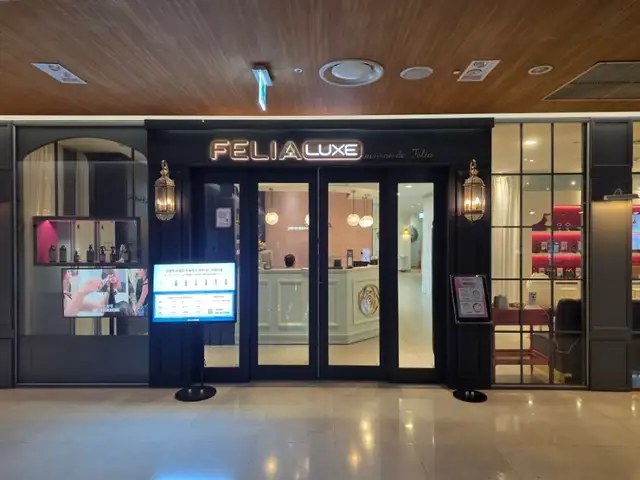 펠리아럭스 부산본점 사진 3