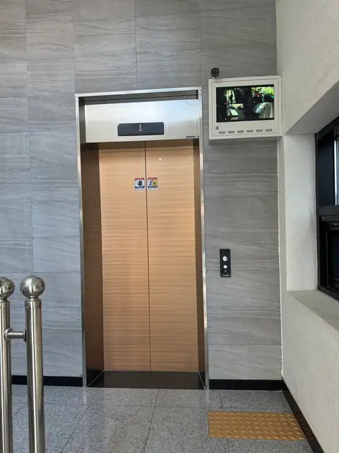 어나더미헤어 사진 6