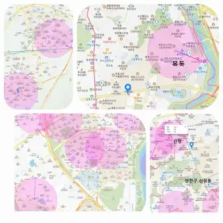 태후사랑 사진