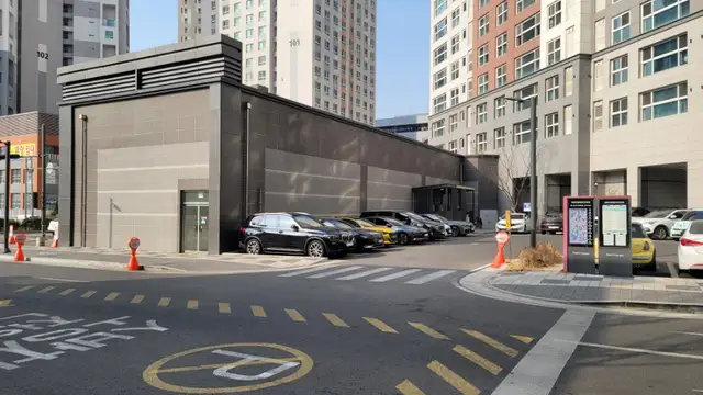 리프헤어 사진 8