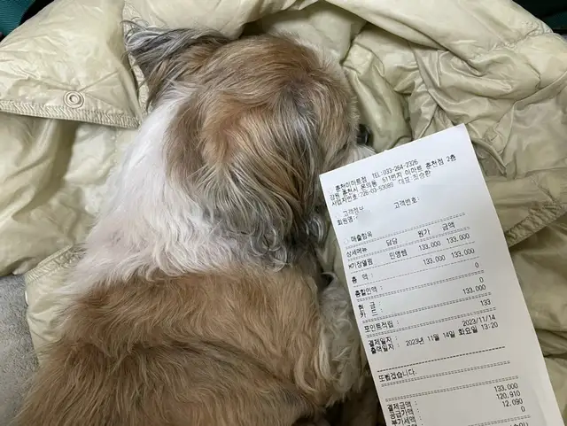 이철헤어커커 춘천이마트점 사진 3