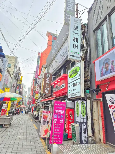 프로헤어 사진 2