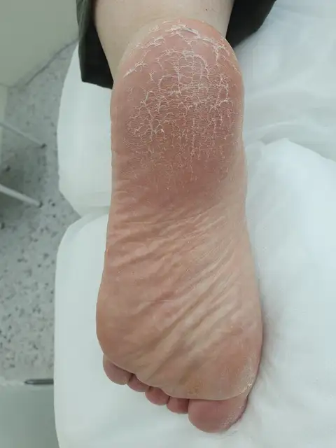 포디랩 원주중앙점 사진 8