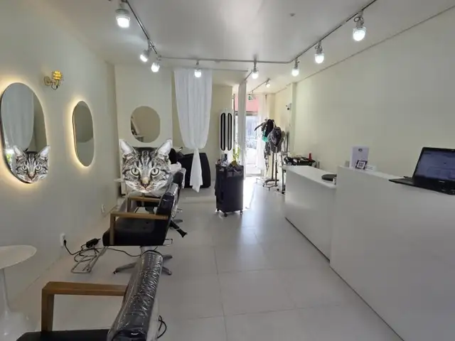 아이린헤어 사진 2