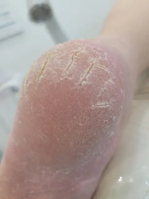 레푸스 춘천석사점 사진 8
