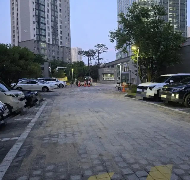 오키드래쉬 사진 8