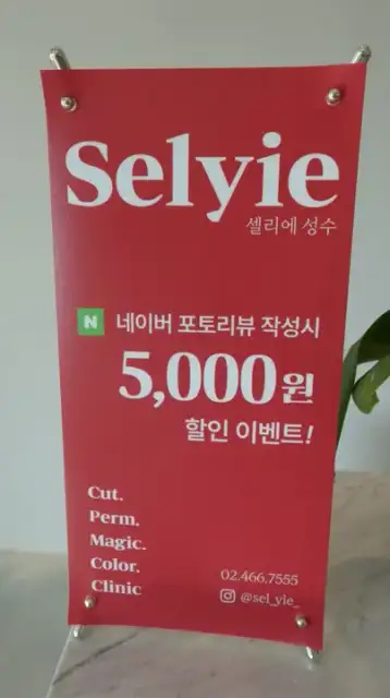 셀리에 성수 사진 5