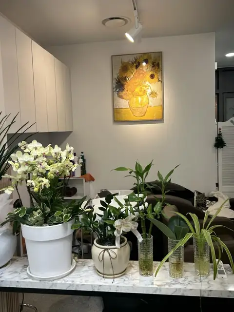 오슬로헤어 사진 8