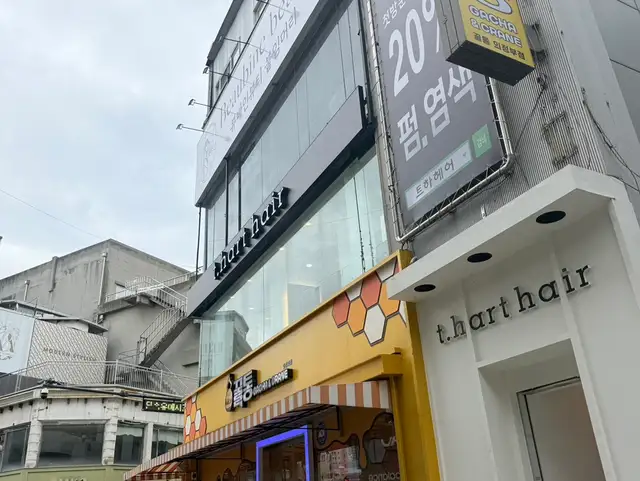 트하헤어 사진 7