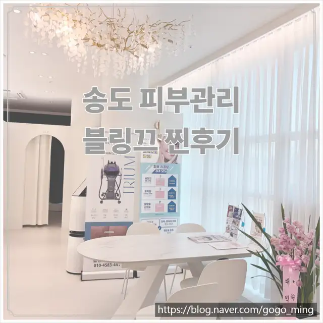블링끄에스테틱 사진 5