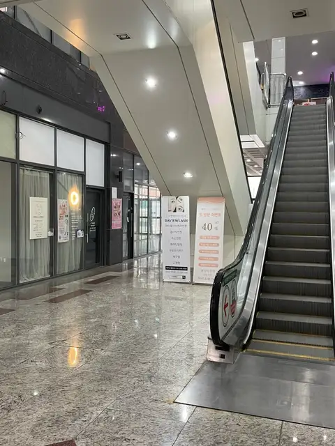 다뷰래쉬 사진 5