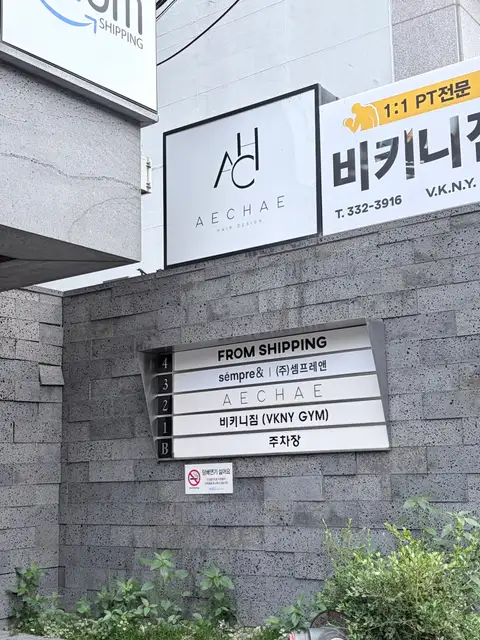 애채 합정 사진 4