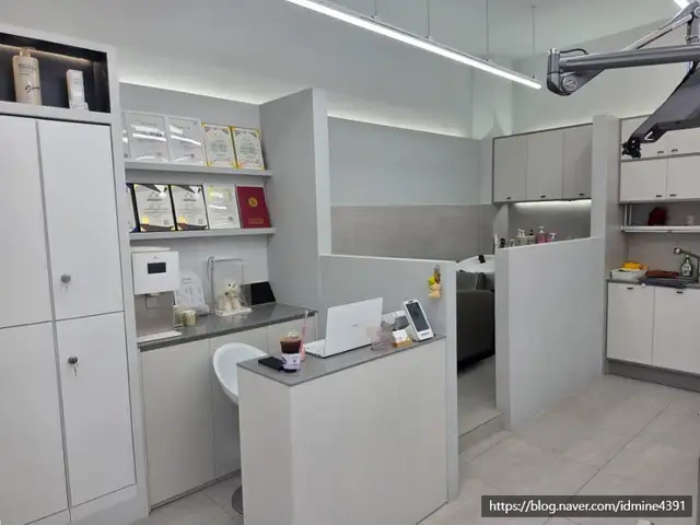 데이미 사진 2