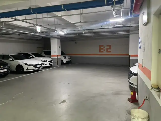 선사하다 사진 5