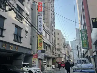 다즐링뷰티 사진