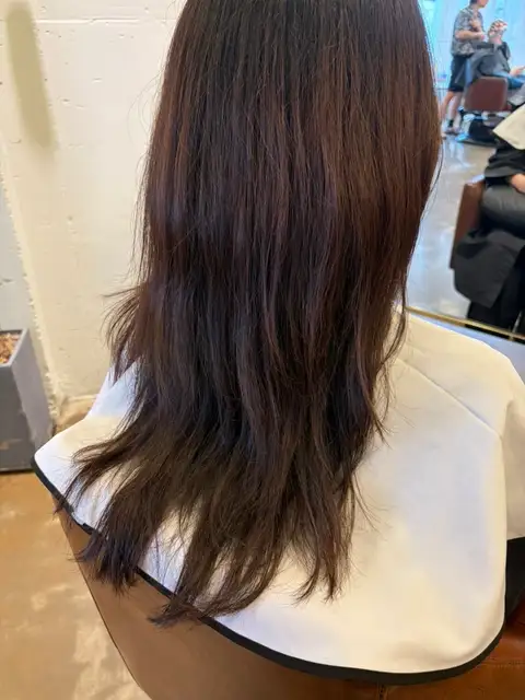 힐끗 사진 2