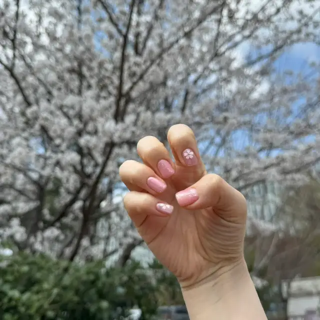 네일사일리 사진 1