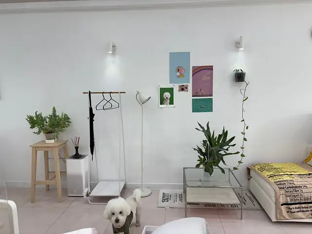 러브썸머네일 사진 8