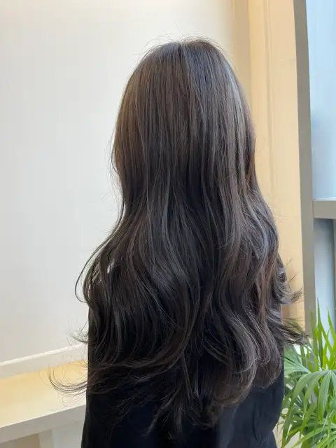 미레브헤어 사진 2