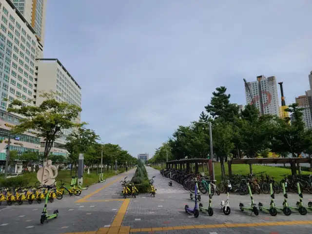 살롱다알리아 사진 5