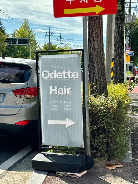 오데트 사진 3