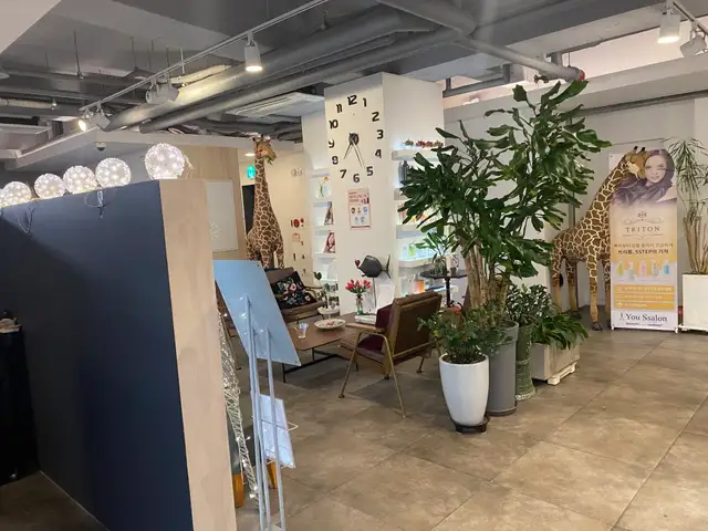 유살롱 사진 8