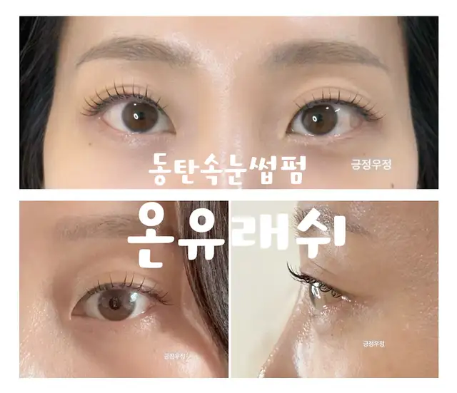 온유래쉬 사진 1