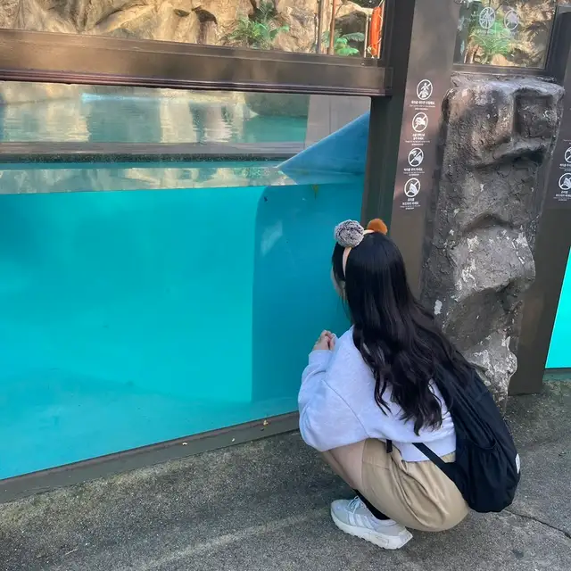 그림홈 사진 2