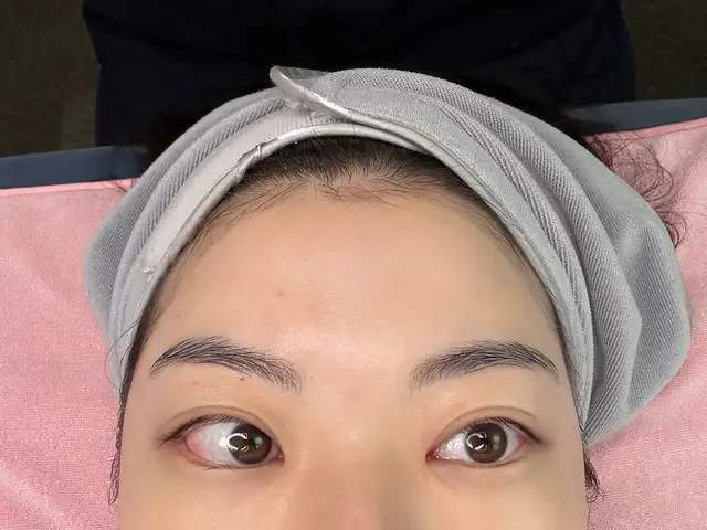 아베크현 사진 8