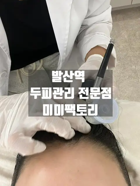 미미팩토리 사진 7