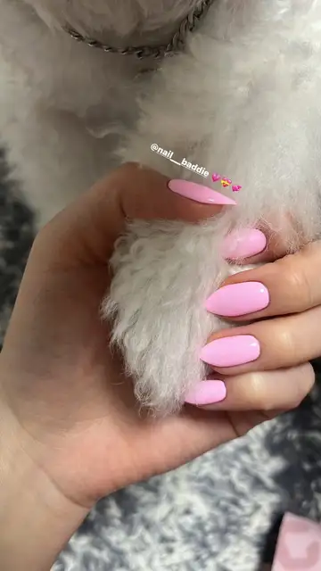 네일배디 사진 2